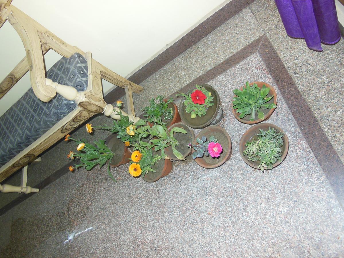 Shiva Inn Varanasi Eksteriør bilde